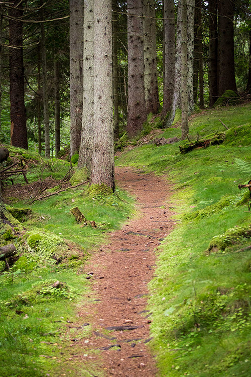 Vandringsleder på Norra Fjället