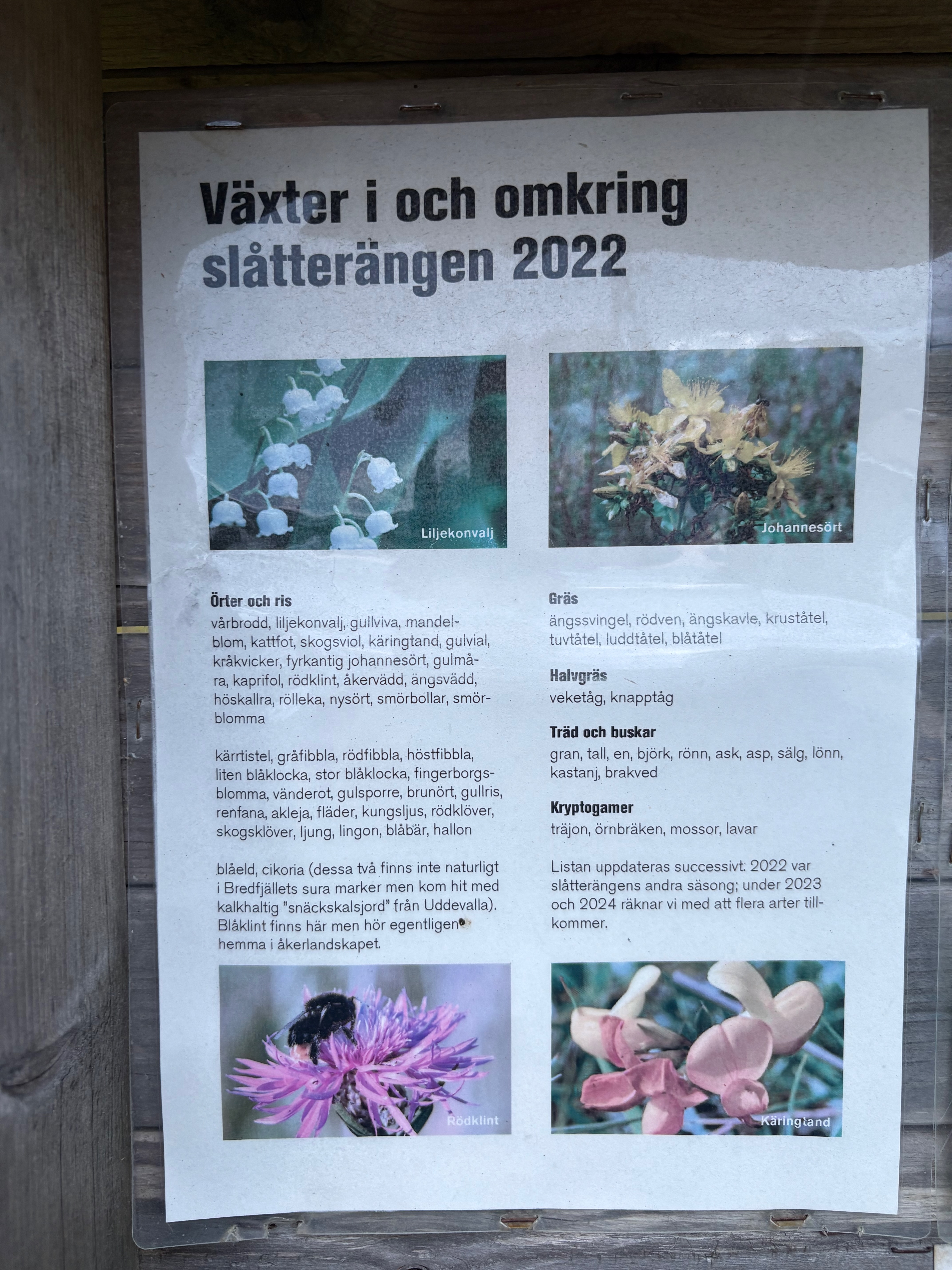 Informationsskylt om växter