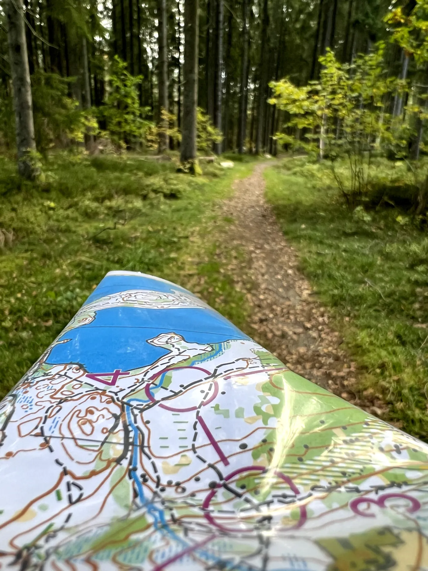Orientering & träningar