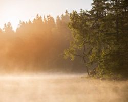 Bredfjällsdagen 2025