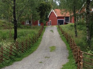 16 juli bild