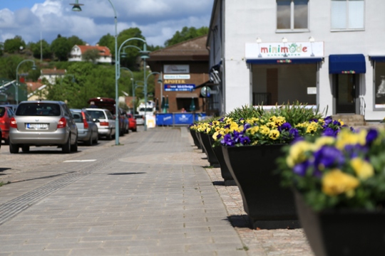 Ljungskile Friluftsklubb – Skogs- och bingopromenader Våren 2016.