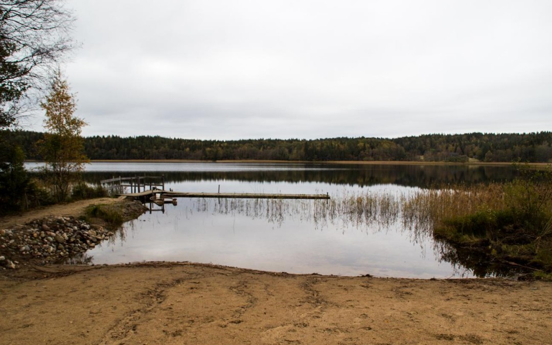 Skogspromenad 11 oktober på Backamoförläggningen.